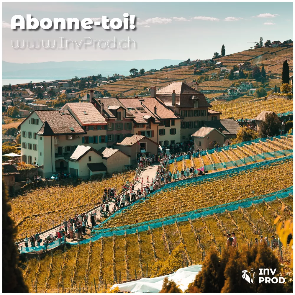 Vue plongeante sur le village d'Epesses et le parcours dans les vignes, « Abonne-toi ! » en titre